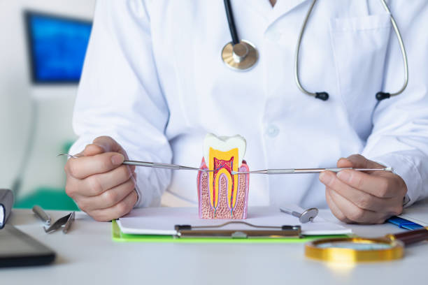 Best Broken Tooth Emergency  in Center Line, MI